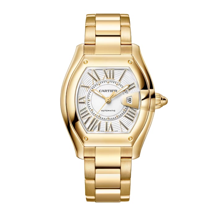 Roadster Watch, Medium Model, Manufacture Mechanical Movement With Automatic Winding, 18K Yellow Gold Case